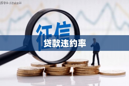 保亭贷款违约率