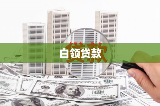保亭白领贷款