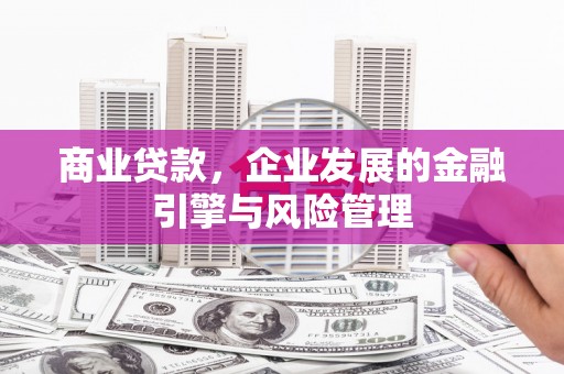 保亭商业贷款，企业发展的金融引擎与风险管理