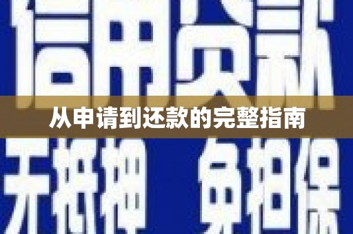 保亭从申请到还款的完整指南
