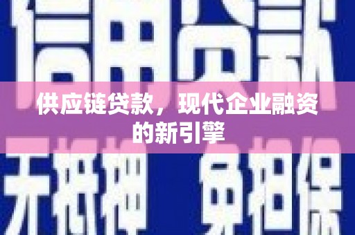 保亭供应链贷款，现代企业融资的新引擎
