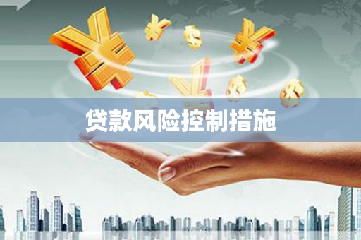保亭贷款风险控制措施
