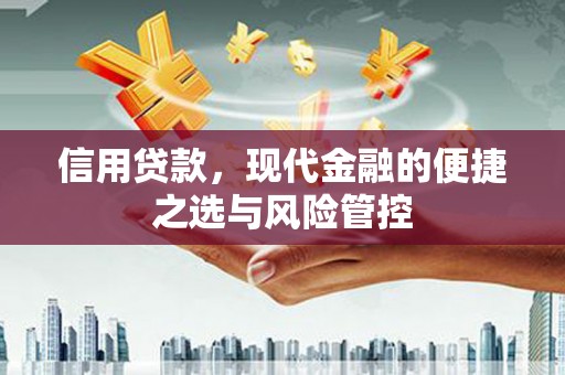 保亭信用贷款，现代金融的便捷之选与风险管控