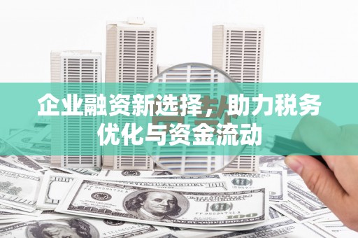 保亭企业融资新选择，助力税务优化与资金流动
