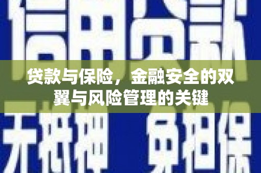 保亭贷款与保险，金融安全的双翼与风险管理的关键