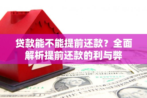 保亭贷款能不能提前还款？全面解析提前还款的利与弊