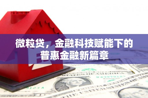 保亭微粒贷，金融科技赋能下的普惠金融新篇章