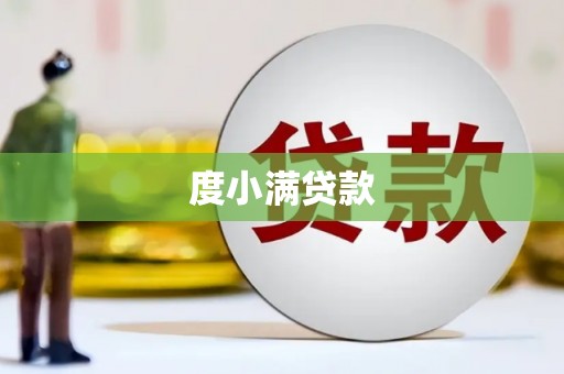 保亭度小满贷款