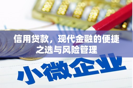 保亭信用贷款，现代金融的便捷之选与风险管理