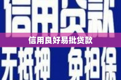保亭信用良好易批贷款