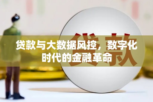 保亭贷款与大数据风控，数字化时代的金融革命