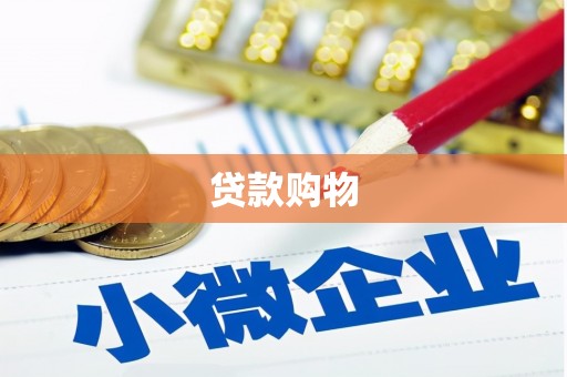 保亭贷款购物