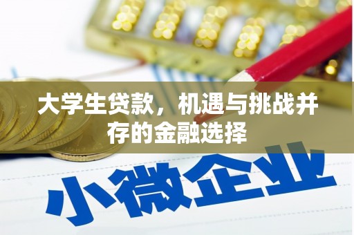 保亭大学生贷款，机遇与挑战并存的金融选择