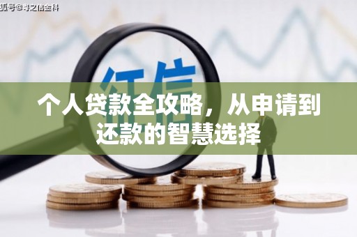 保亭个人贷款全攻略，从申请到还款的智慧选择