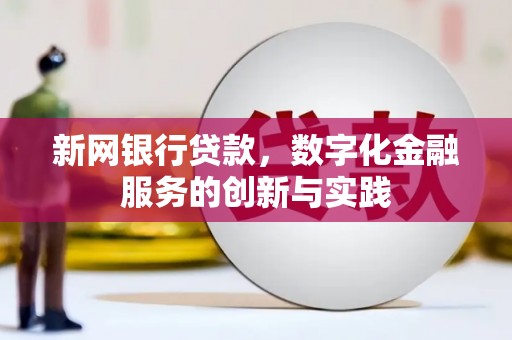 保亭新网银行贷款，数字化金融服务的创新与实践
