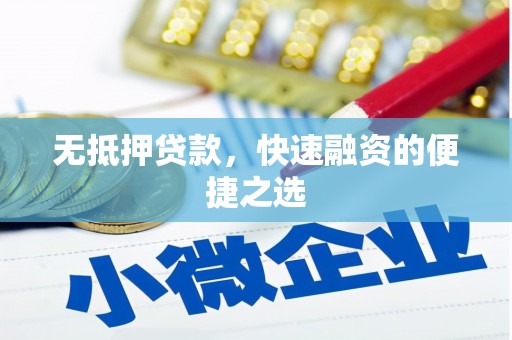 保亭无抵押贷款，快速融资的便捷之选