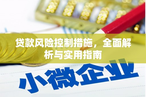 保亭贷款风险控制措施，全面解析与实用指南