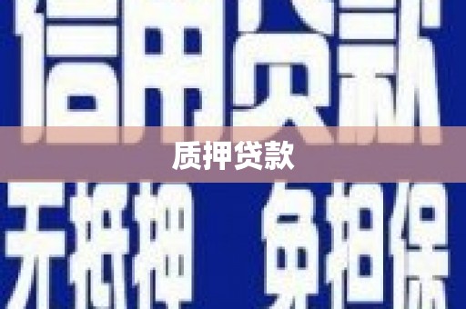 保亭质押贷款