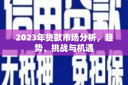 保亭2023年贷款市场分析，趋势、挑战与机遇