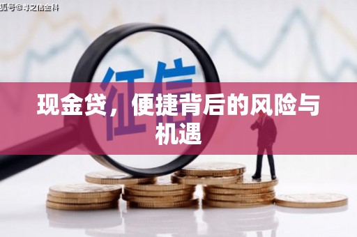 保亭现金贷，便捷背后的风险与机遇