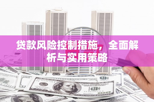 保亭贷款风险控制措施，全面解析与实用策略