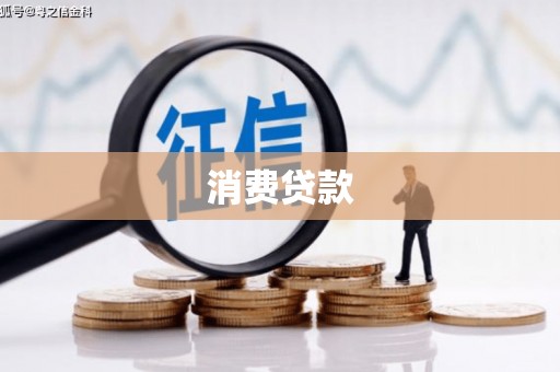 保亭消费贷款