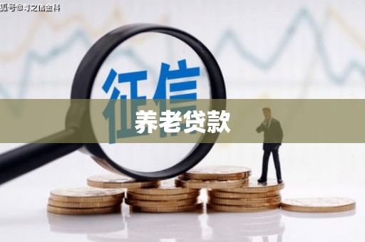 保亭养老贷款