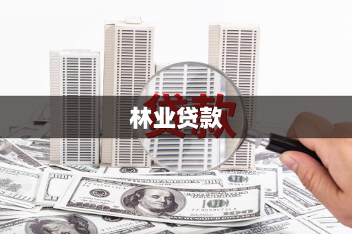 保亭林业贷款