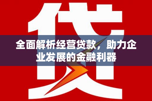 保亭全面解析经营贷款，助力企业发展的金融利器