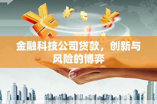 保亭金融科技公司贷款，创新与风险的博弈