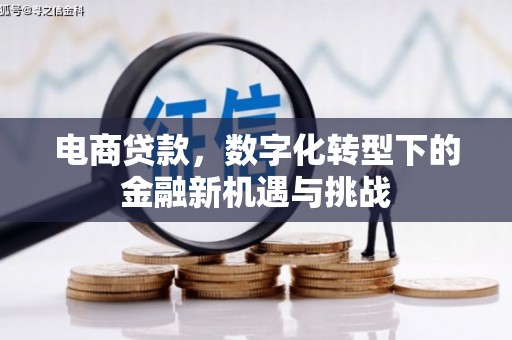 保亭电商贷款，数字化转型下的金融新机遇与挑战