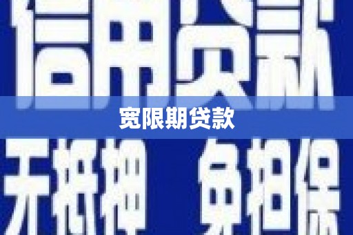 保亭宽限期贷款