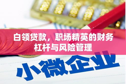 保亭白领贷款，职场精英的财务杠杆与风险管理