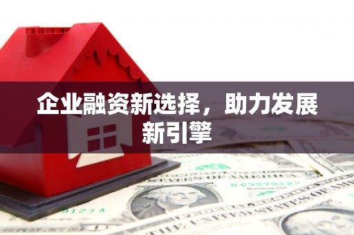 保亭企业融资新选择，助力发展新引擎