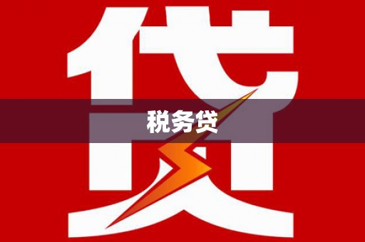 保亭税务贷