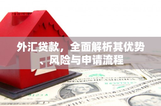保亭外汇贷款，全面解析其优势、风险与申请流程