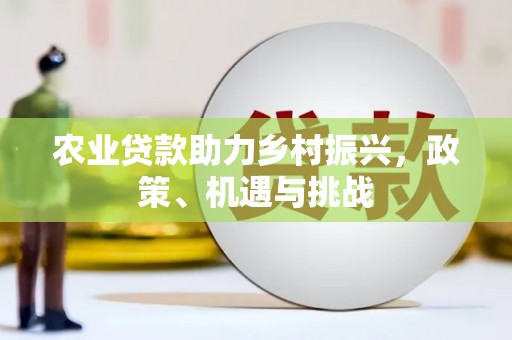 保亭农业贷款助力乡村振兴，政策、机遇与挑战
