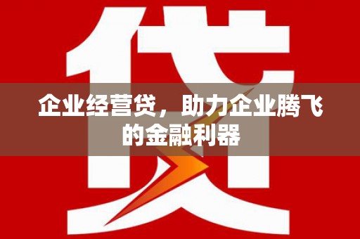 保亭企业经营贷，助力企业腾飞的金融利器