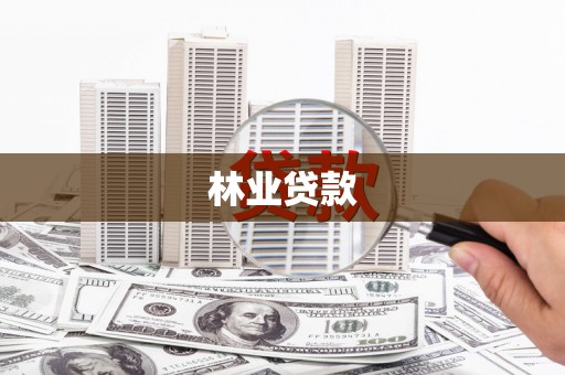 保亭林业贷款