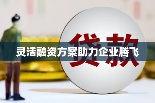 保亭灵活融资方案助力企业腾飞