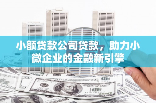 保亭小额贷款公司贷款，助力小微企业的金融新引擎