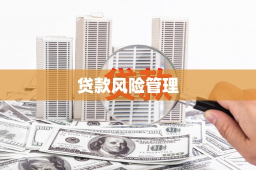 保亭贷款风险管理