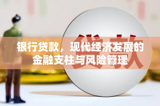 保亭银行贷款，现代经济发展的金融支柱与风险管理