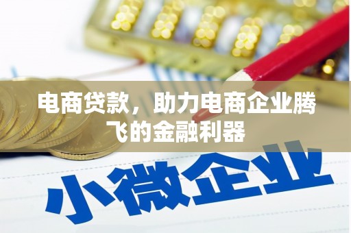 保亭电商贷款，助力电商企业腾飞的金融利器