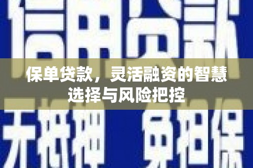 保亭保单贷款，灵活融资的智慧选择与风险把控