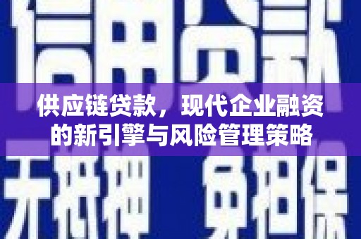 保亭供应链贷款，现代企业融资的新引擎与风险管理策略