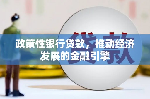 保亭政策性银行贷款，推动经济发展的金融引擎
