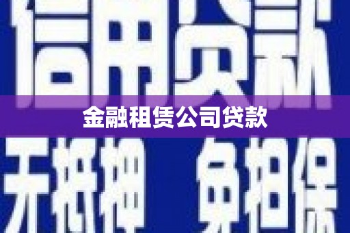 保亭金融租赁公司贷款