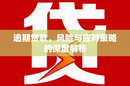 保亭逾期贷款，风险与应对策略的深度解析