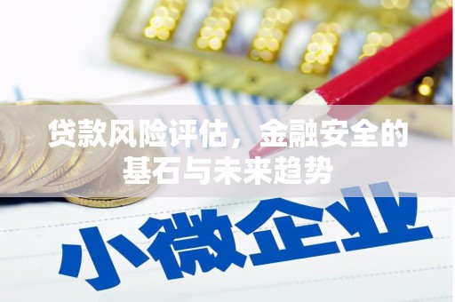 保亭贷款风险评估，金融安全的基石与未来趋势